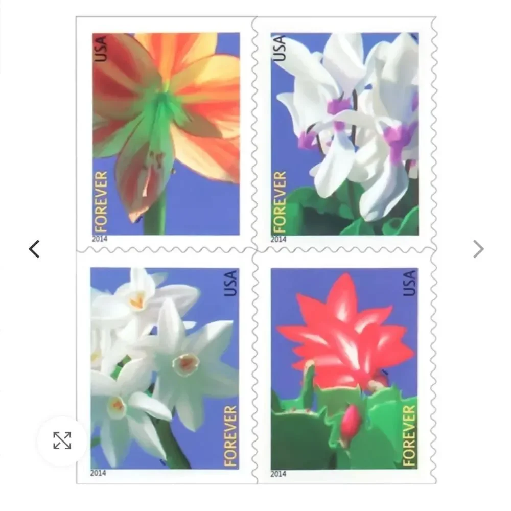 100 Winter Flowers 2014 USPS Forever Stamps Invitations Reception Save The‎ Date